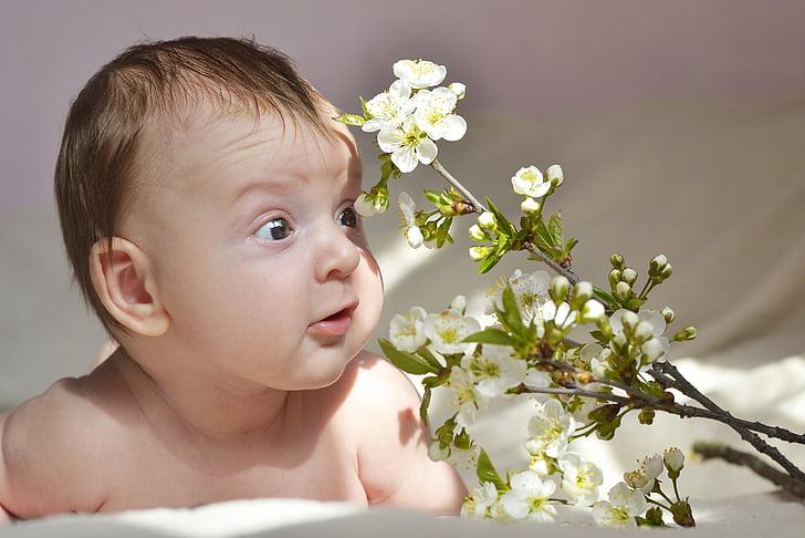 如何给孤独症孩子进行个训才是最有效的？插图-星连接