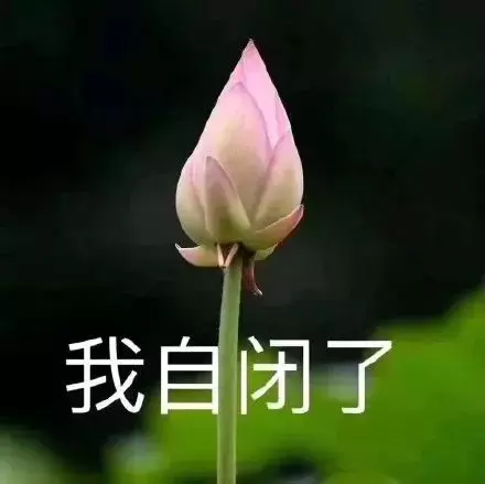 每68个孩子就有1个自闭症（孩子有这10个表现可能是自闭症）插图-星连接