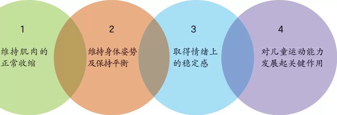 感统本体觉的功能：对儿童运动能力发展起关键作用插图-星连接