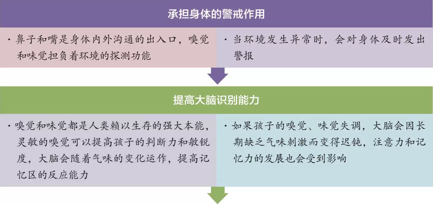 什么是嗅觉味觉：孩子嗅觉味觉的发展插图-1西米明天