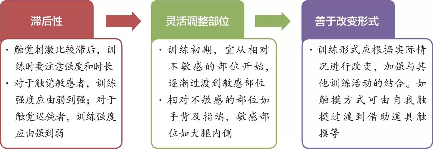 常见的触觉训练活动：触觉训练的注意事项插图-西米麦田