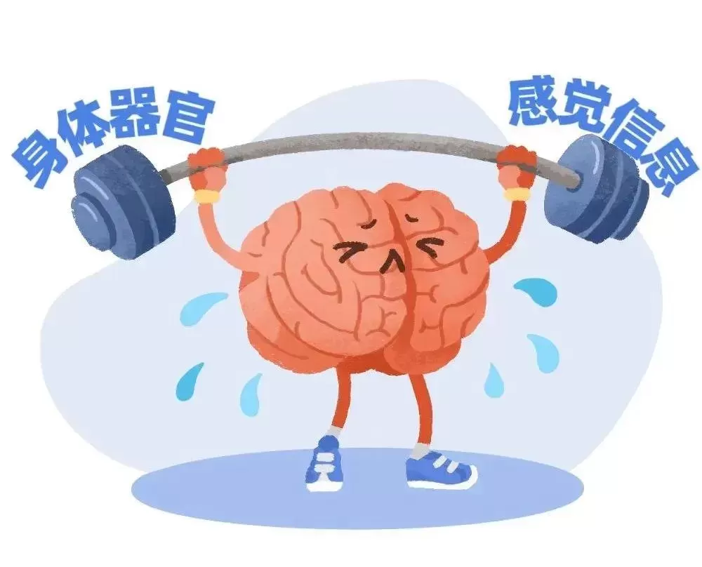感统训练的好处是什么？感统训练是智商税吗？插图-1星连接