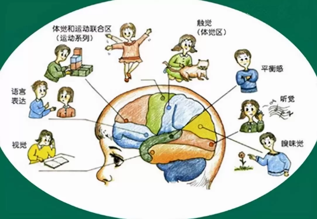 本体感觉包括哪些(为什么要进行本体感觉训练)插图-星连接 本体感觉包括哪些(为什么要进行本体感觉训练)插图-星连接
