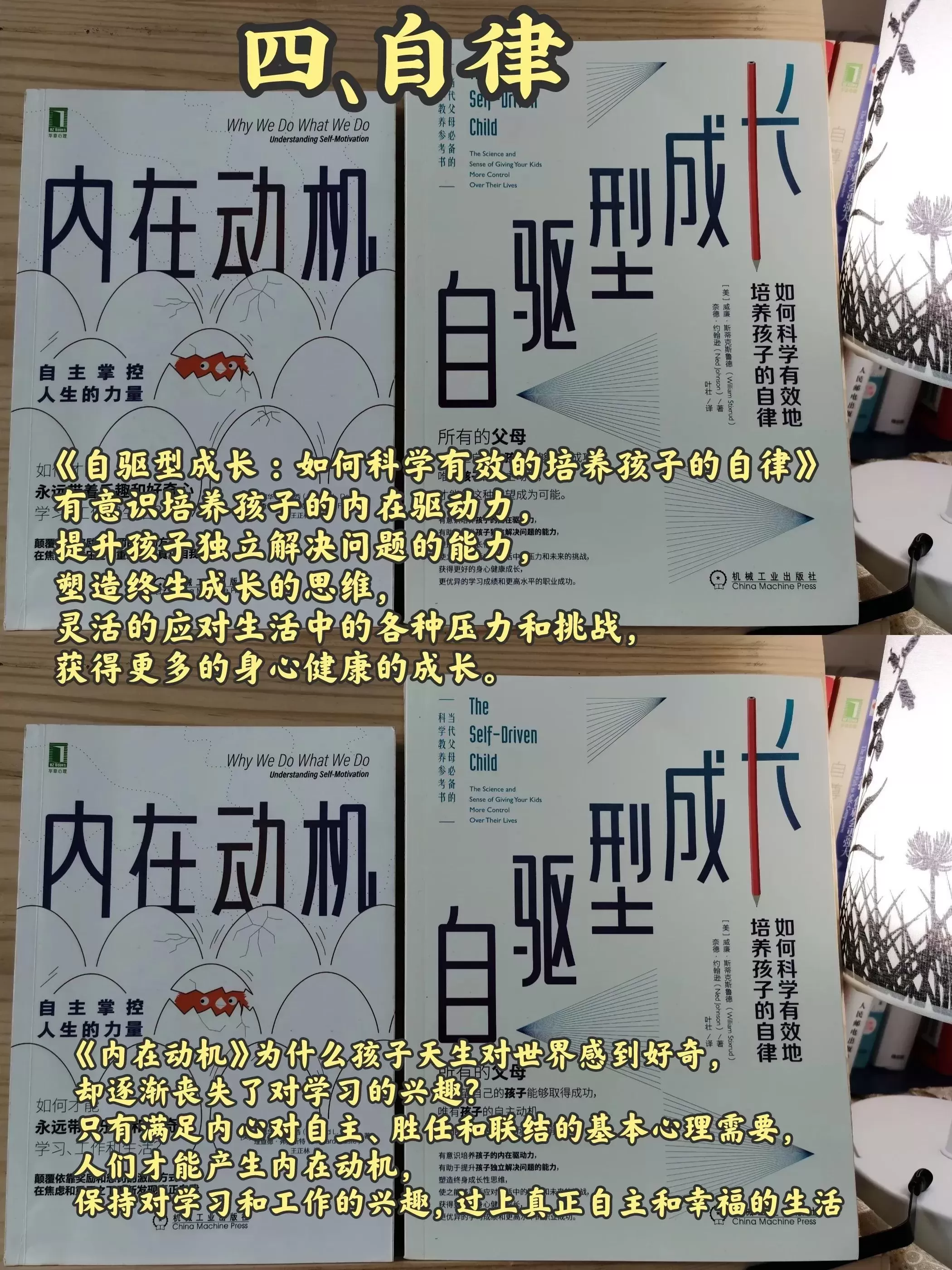 20本高分育儿书单：在忙也要陪孩子读书插图-4星连接