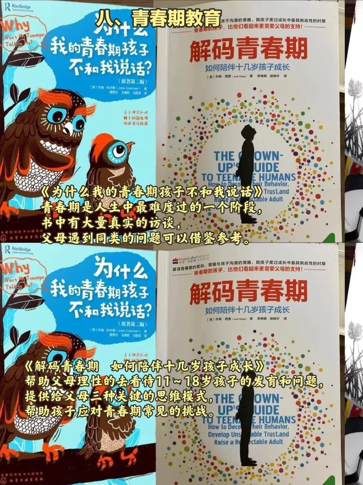 20本高分育儿书单：在忙也要陪孩子读书插图-7星连接