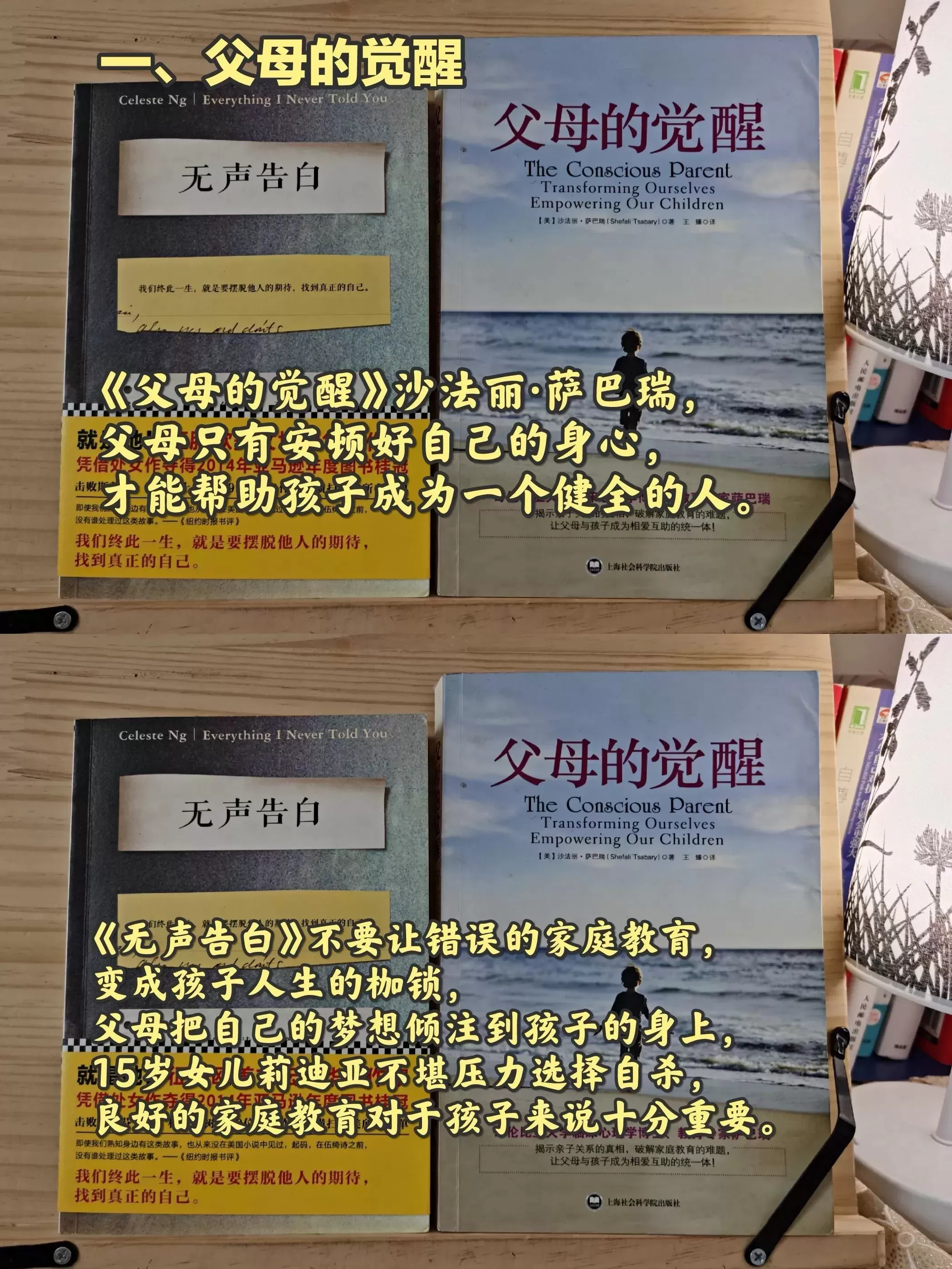 20本高分育儿书单：在忙也要陪孩子读书插图-1星连接