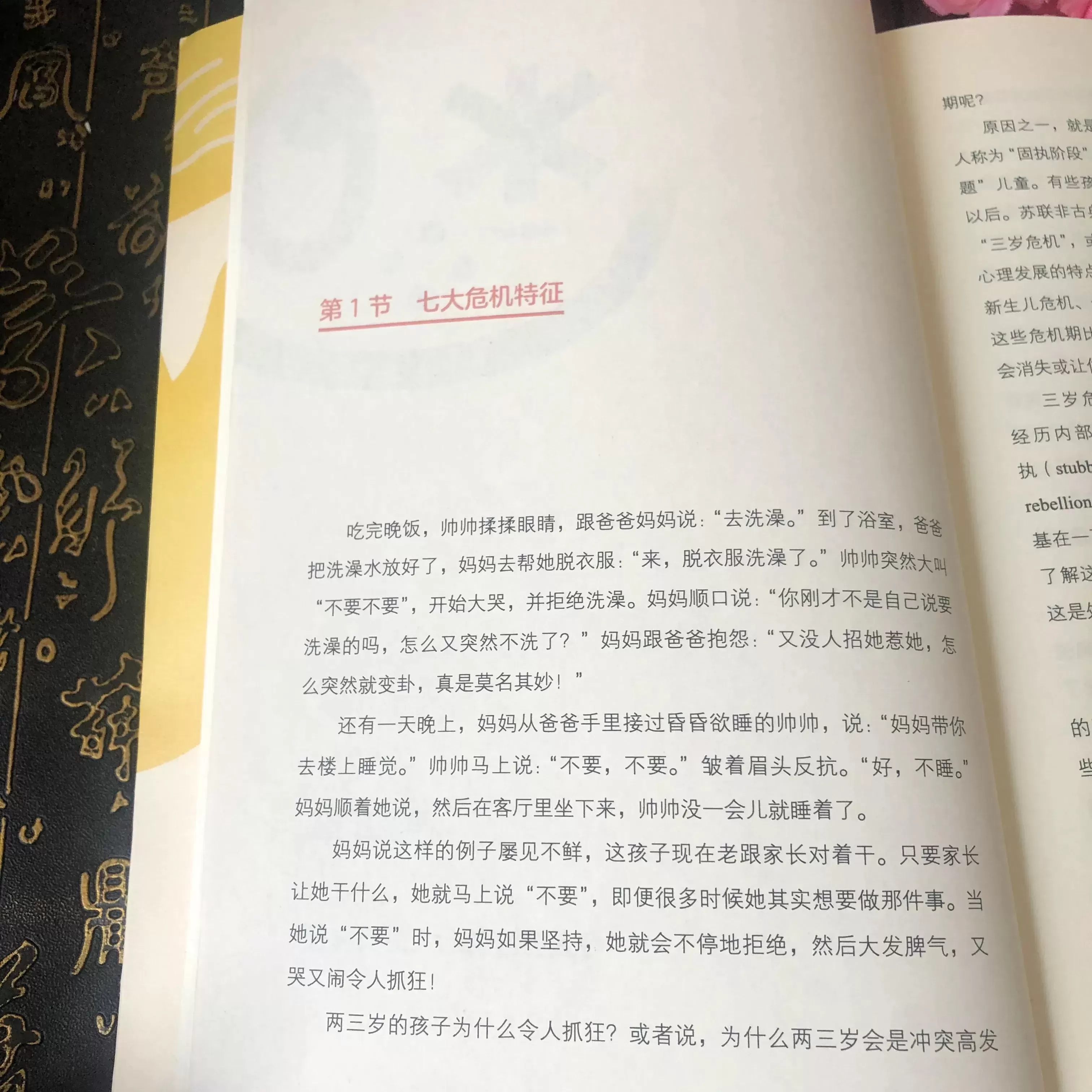 俞敏洪推荐的育儿书籍：《抓狂两三岁》内容概况推荐插图-6星连接