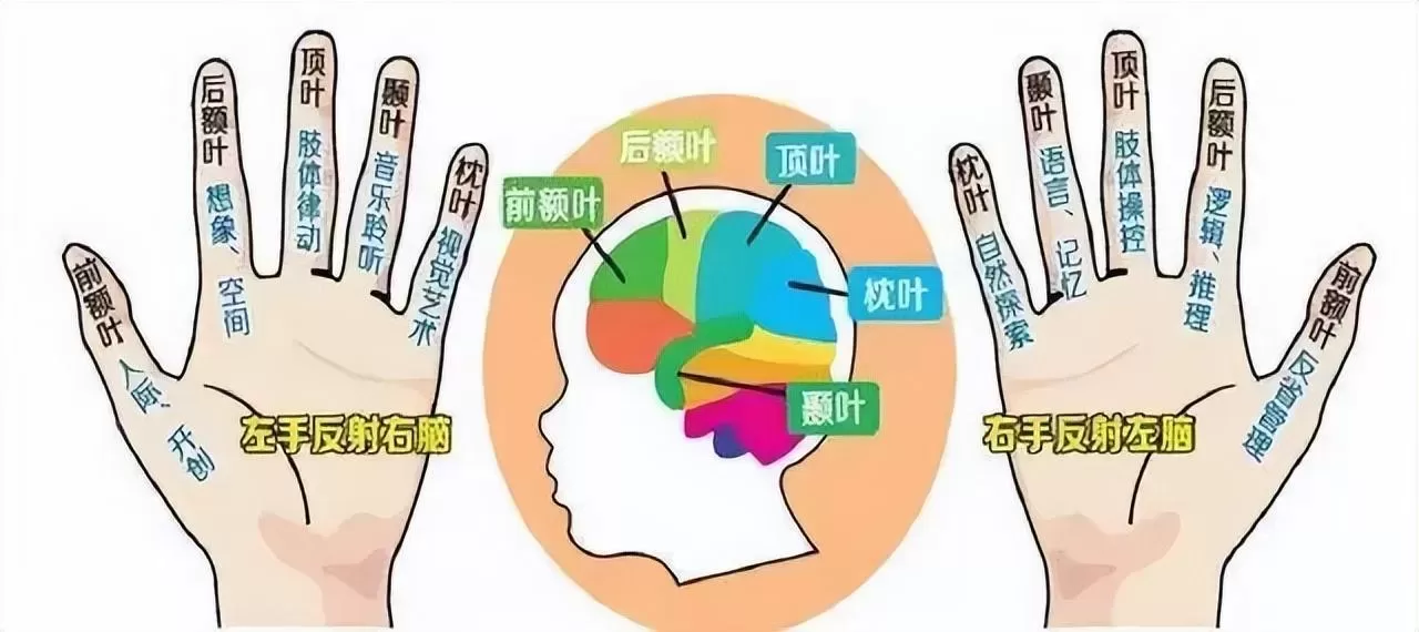 儿童手指操有什么好处？《0-6岁幼儿左右脑手指谣》推荐插图-3星连接