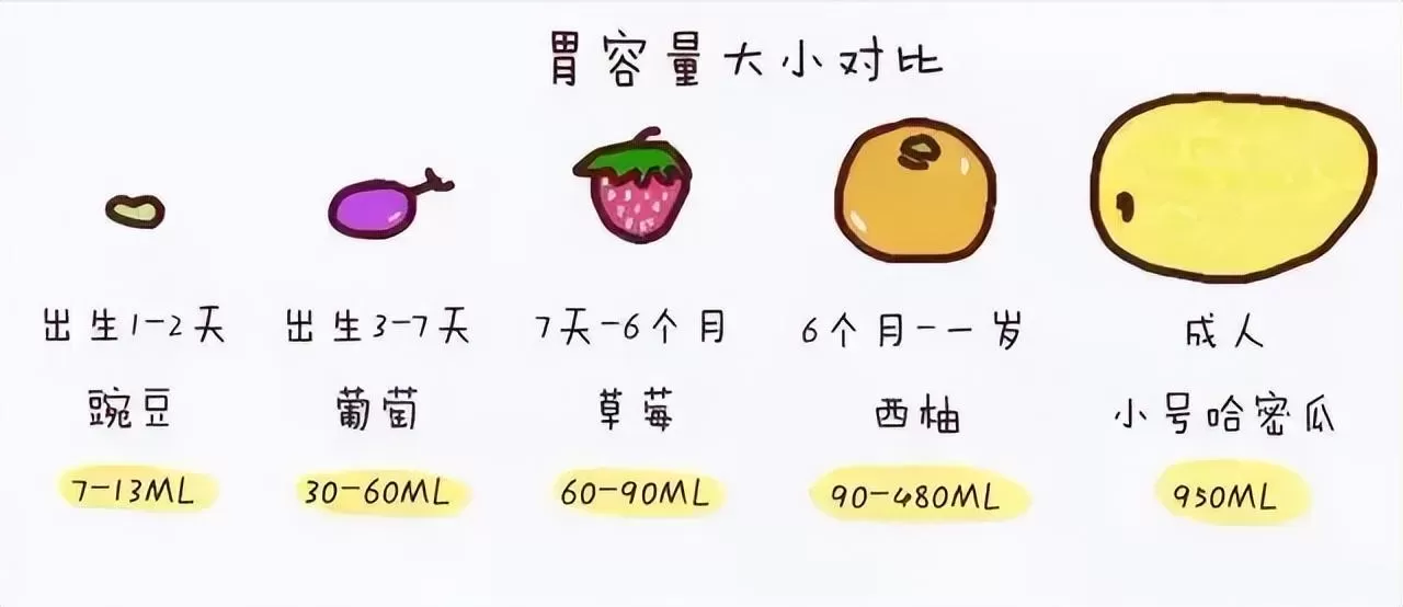 0-6个月新生儿怎么喂？2022年版营养协会的6条建议插图-7西米麦田