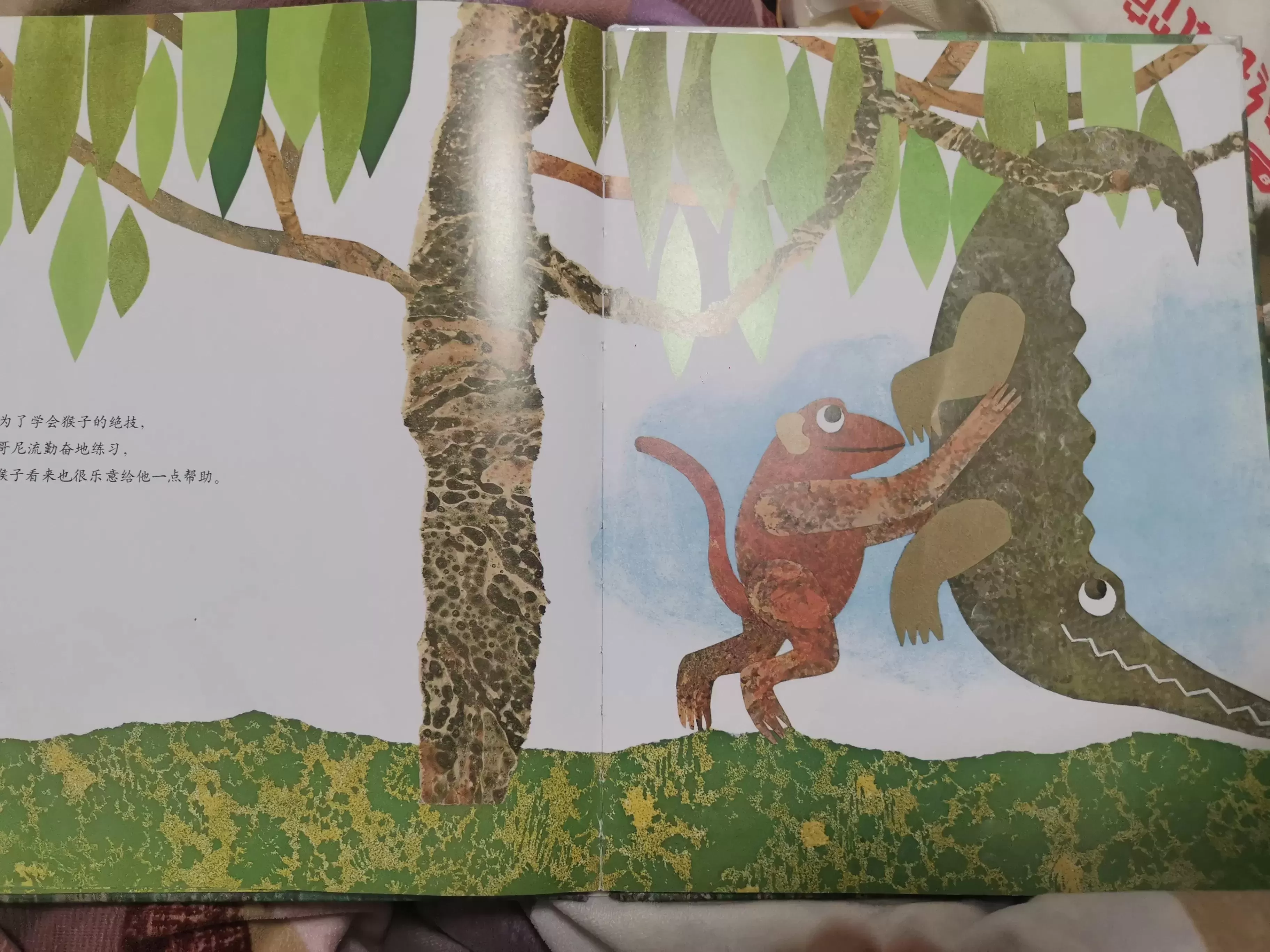 育儿绘本《鳄鱼哥尼流》：给孩子的勇气和力量插图-6西米麦田