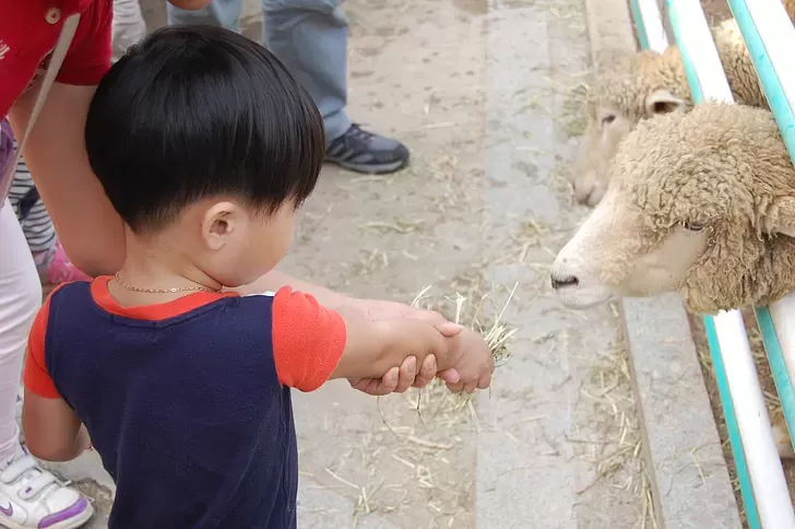 什么是运动发育迟缓？婴幼儿运动发育迟缓的训练方法介绍